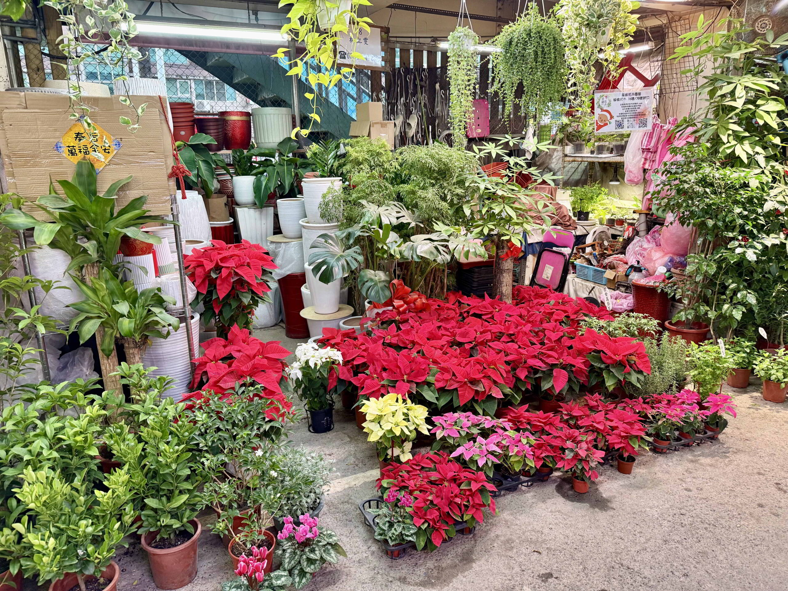 板橋花市Fun耶誕 農來作伙High
