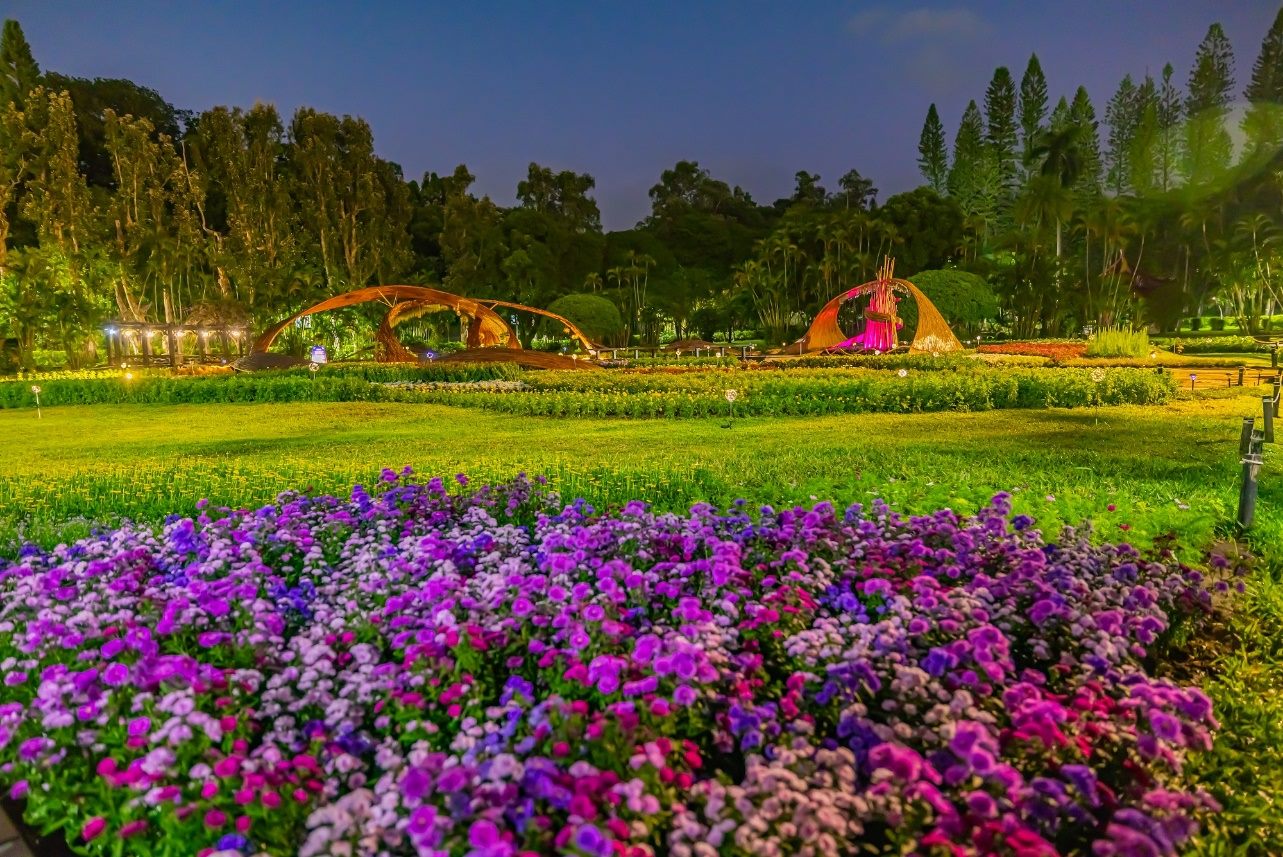 45萬人次認證!  菊展倒數計時欲看從速 200盆展後花卉12/17開放認養 民眾免費帶回家45萬人次認證!  菊展倒數計時欲看從速